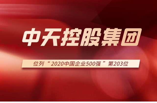 888集团集团列2020中国企业500强第203位！